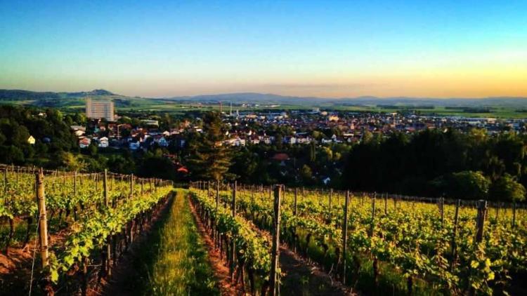 Weingut Brücke-Ohl