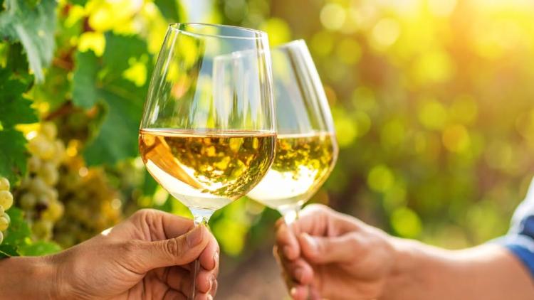Liberalismus und Wein in Groß-Umstadt