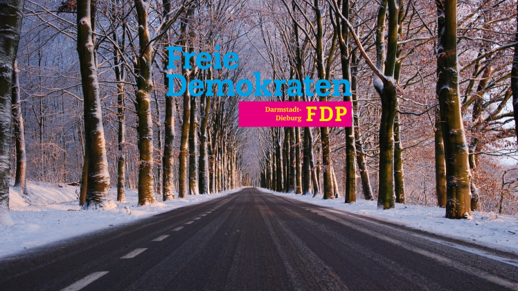 FDP Kreisverband Darmstadt-Dieburg